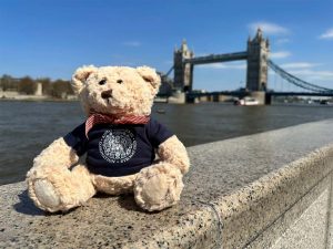 Arbie the Sunseeker Teddy Bear